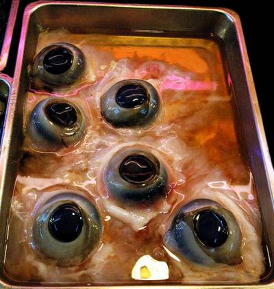 Image result for tuna eyeball